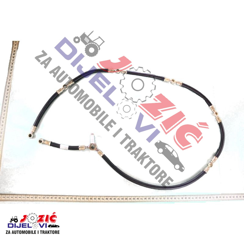 Daisy on the Ohoopee